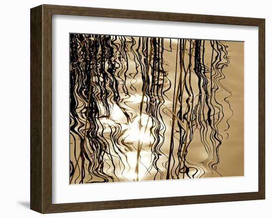 Reeds 8169-Rica Belna-Framed Giclee Print