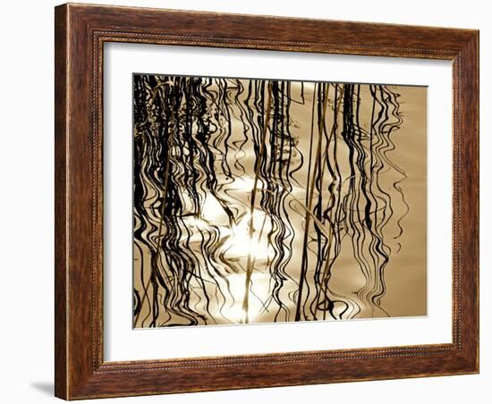 Reeds 8169-Rica Belna-Framed Giclee Print