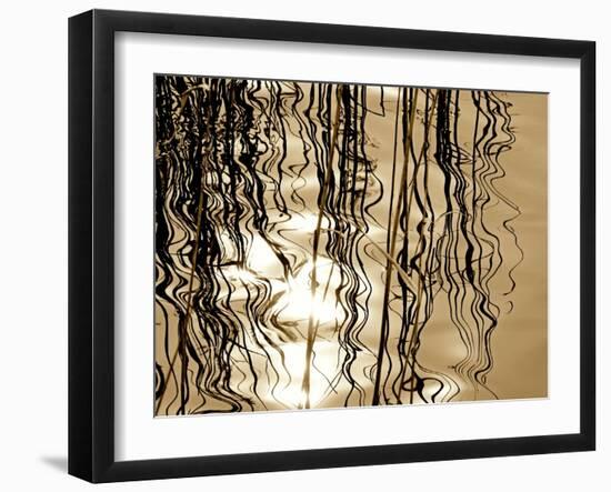 Reeds 8169-Rica Belna-Framed Giclee Print