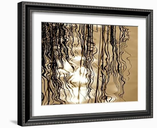 Reeds 8169-Rica Belna-Framed Giclee Print