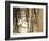 Reeds 8169-Rica Belna-Framed Giclee Print