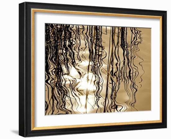 Reeds 8169-Rica Belna-Framed Giclee Print