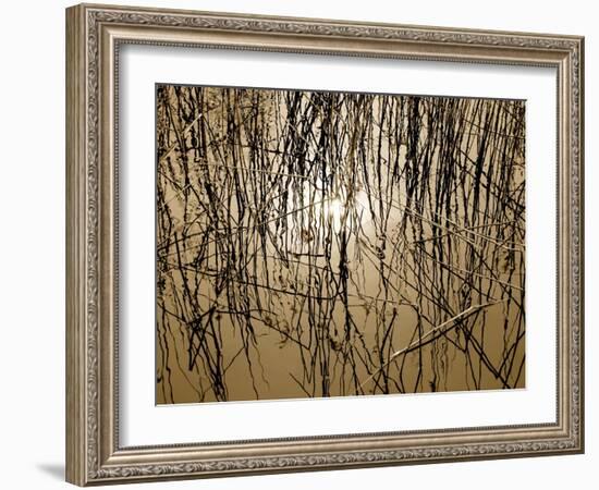 Reeds 8170-Rica Belna-Framed Giclee Print