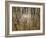 Reeds 8170-Rica Belna-Framed Giclee Print