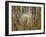 Reeds 8170-Rica Belna-Framed Giclee Print