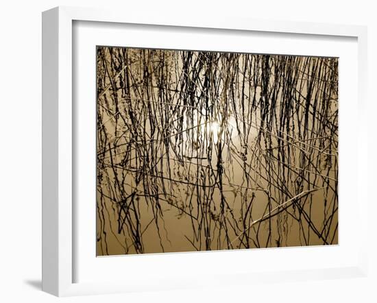 Reeds 8170-Rica Belna-Framed Giclee Print