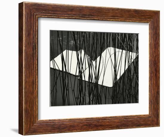 Reeds and Plastic, Norway, 1972-Brett Weston-Framed Photographic Print