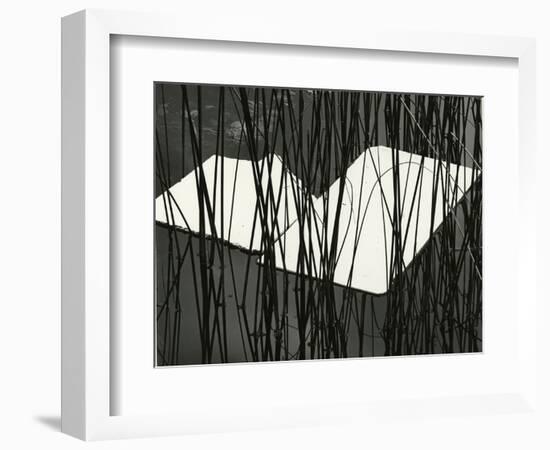 Reeds and Plastic, Norway, 1972-Brett Weston-Framed Photographic Print