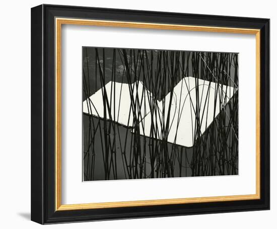 Reeds and Plastic, Norway, 1972-Brett Weston-Framed Photographic Print