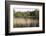 Reeds by the River Yare, Norfolk, England, United Kingdom-Charcrit Boonsom-Framed Photographic Print