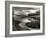 Reeds in Winter-Stephen Arens-Framed Photographic Print