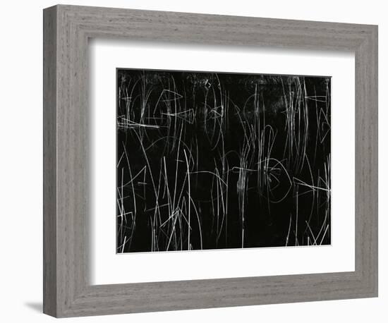 Reeds, Oregon, 1975-Brett Weston-Framed Premium Photographic Print