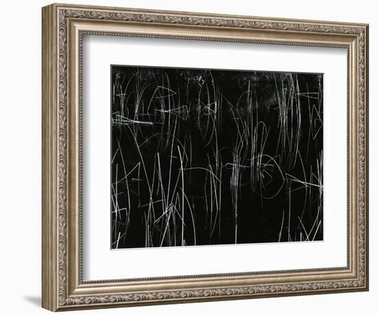 Reeds, Oregon, 1975-Brett Weston-Framed Photographic Print