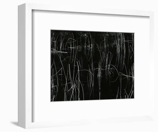 Reeds, Oregon, 1975-Brett Weston-Framed Photographic Print