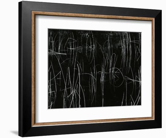 Reeds, Oregon, 1975-Brett Weston-Framed Photographic Print