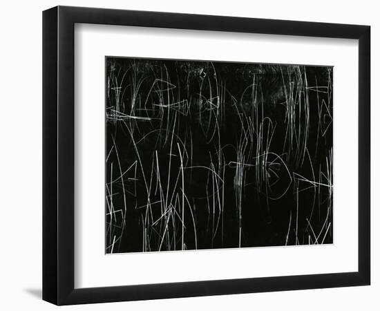 Reeds, Oregon, 1975-Brett Weston-Framed Photographic Print