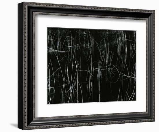 Reeds, Oregon, 1975-Brett Weston-Framed Photographic Print