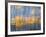 Reeds Silhouetted, Spencer Lake, Whitefish, Montana, USA-Chuck Haney-Framed Photographic Print