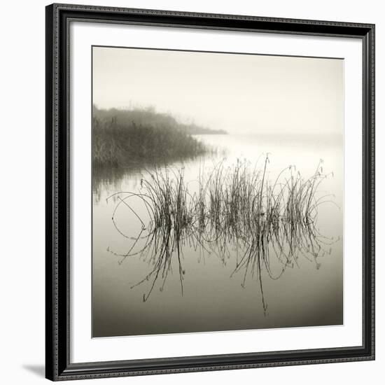 Reeds-Michael Kahn-Framed Giclee Print