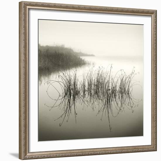 Reeds-Michael Kahn-Framed Giclee Print