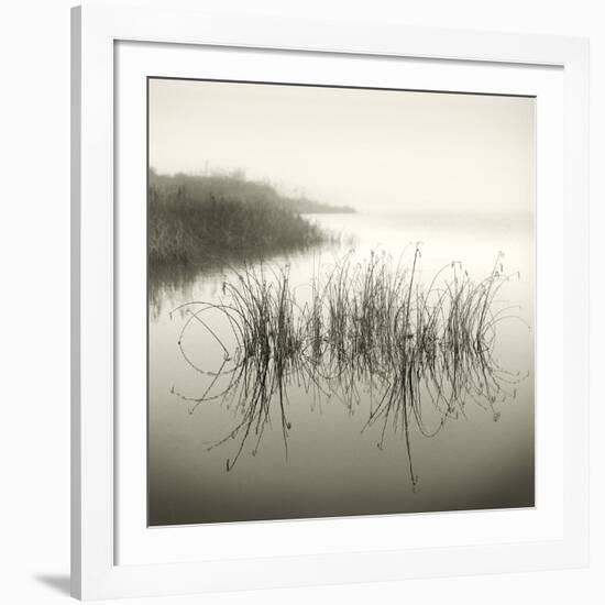 Reeds-Michael Kahn-Framed Giclee Print