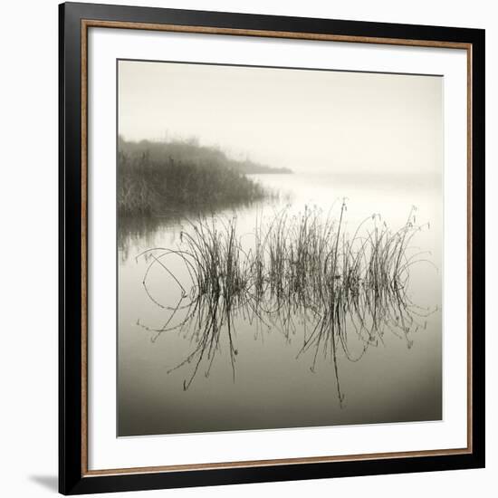 Reeds-Michael Kahn-Framed Giclee Print