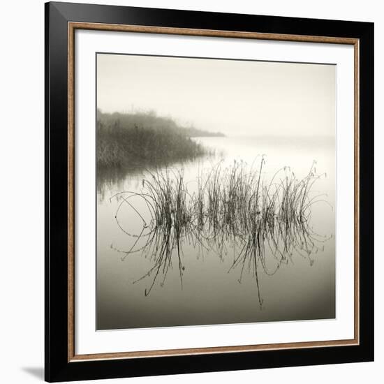 Reeds-Michael Kahn-Framed Giclee Print