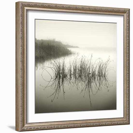 Reeds-Michael Kahn-Framed Giclee Print