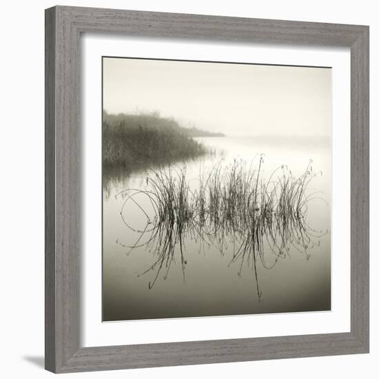 Reeds-Michael Kahn-Framed Giclee Print