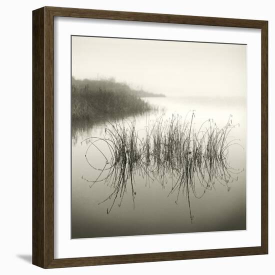 Reeds-Michael Kahn-Framed Giclee Print