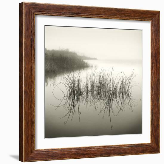 Reeds-Michael Kahn-Framed Giclee Print