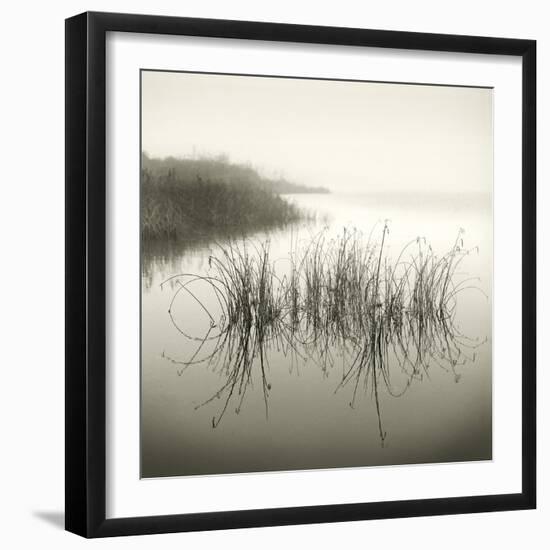 Reeds-Michael Kahn-Framed Giclee Print