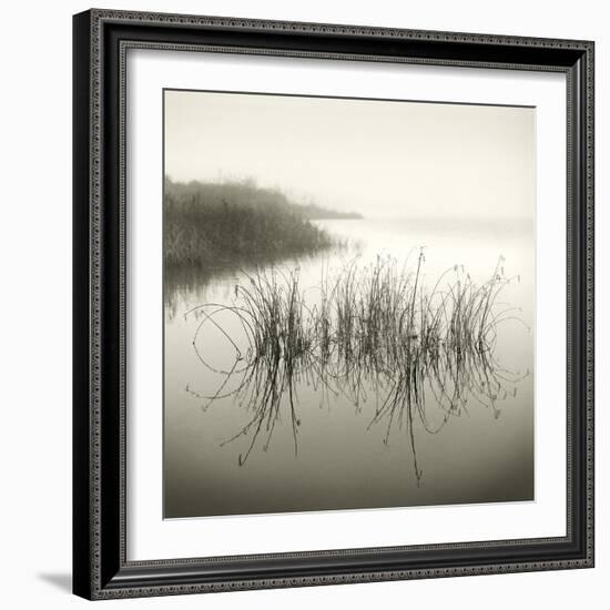 Reeds-Michael Kahn-Framed Giclee Print