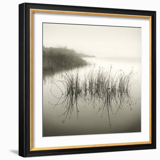 Reeds-Michael Kahn-Framed Giclee Print