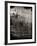 Reeds-Lydia Marano-Framed Photographic Print