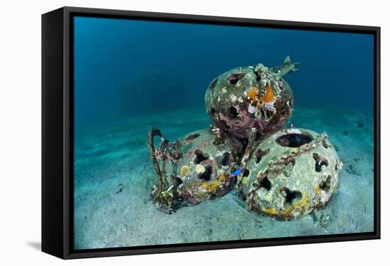 Reef Balls on the Sea Bed, Indonesia-Matthew Oldfield-Framed Premier Image Canvas