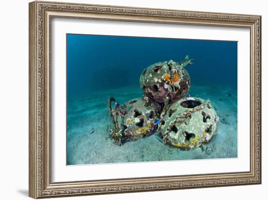 Reef Balls on the Sea Bed, Indonesia-Matthew Oldfield-Framed Photographic Print