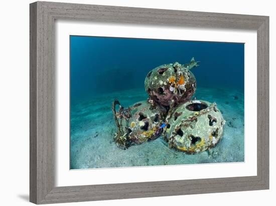 Reef Balls on the Sea Bed, Indonesia-Matthew Oldfield-Framed Photographic Print