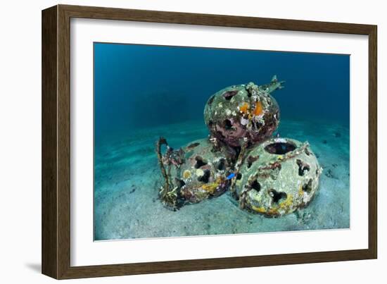 Reef Balls on the Sea Bed, Indonesia-Matthew Oldfield-Framed Photographic Print