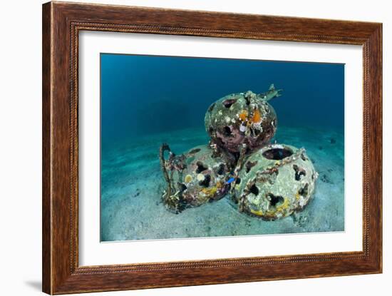 Reef Balls on the Sea Bed, Indonesia-Matthew Oldfield-Framed Photographic Print