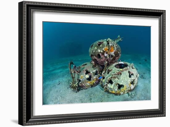 Reef Balls on the Sea Bed, Indonesia-Matthew Oldfield-Framed Photographic Print