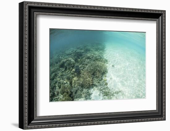 Reef-Building Corals are Encroached Upon by a Sand Bank in Indonesia-Stocktrek Images-Framed Photographic Print