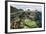 Reef-Building Corals in Raja Ampat, Indonesia-Stocktrek Images-Framed Photographic Print