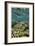 Reef Crest with Sea Star-Jones-Shimlock-Framed Giclee Print