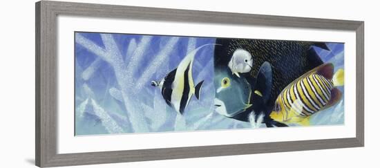 Reef I-Durwood Coffey-Framed Giclee Print