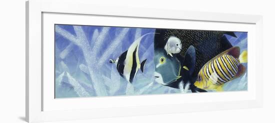 Reef I-Durwood Coffey-Framed Giclee Print