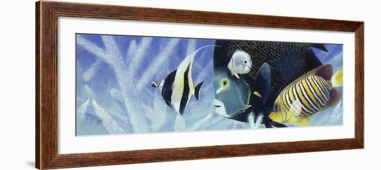 Reef I-Durwood Coffey-Framed Giclee Print