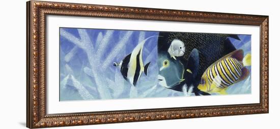 Reef I-Durwood Coffey-Framed Giclee Print