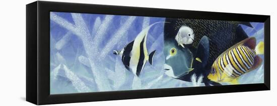 Reef I-Durwood Coffey-Framed Premier Image Canvas