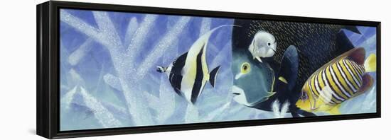 Reef I-Durwood Coffey-Framed Premier Image Canvas
